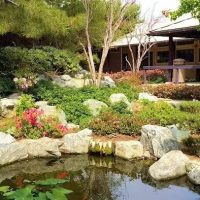 Drew profile picture