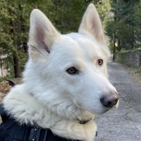 Jonathan profile picture